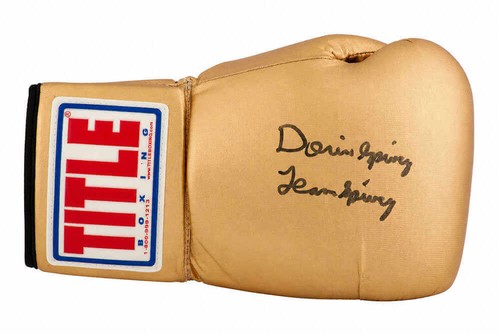 Guantone boxe dorin spivey - guantone,