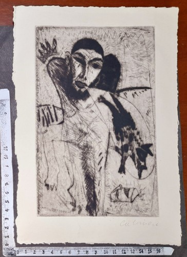 Wunderkammer exlibris 554 - exlibris,
