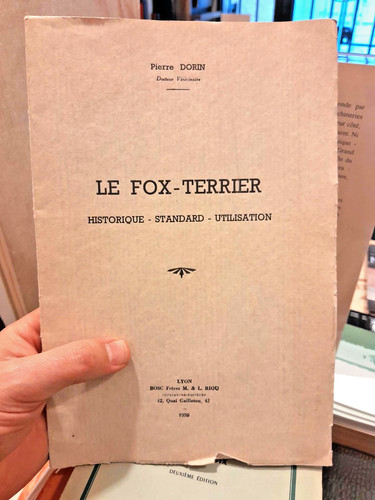 Fox terrier historique - le, fox-terrier,