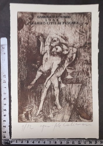 Wunderkammer exlibris 552 - wunderkammer,